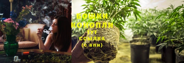 стафф Балабаново