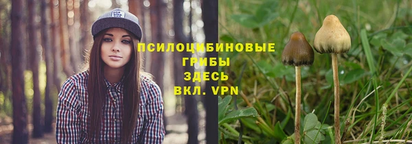 MESCALINE Баксан