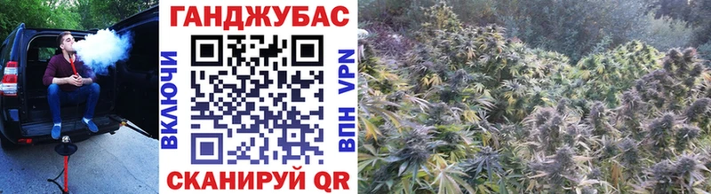 что такое   Чаплыгин  omg как войти  Каннабис AK-47 
